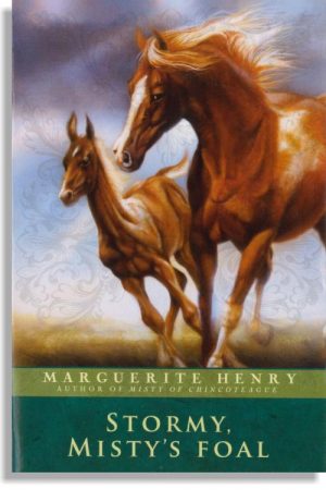 Stormy, Misty's Foal