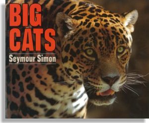 Big Cats