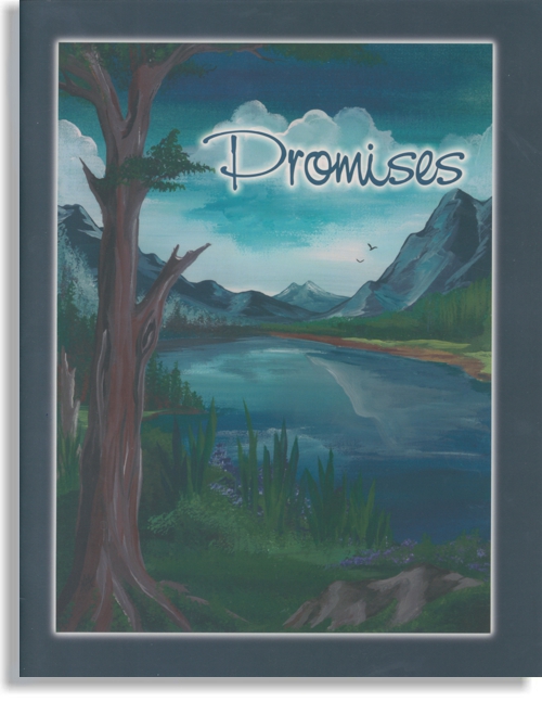 Promises (Discount Slight Damage)