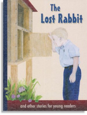 The Lost Rabbit