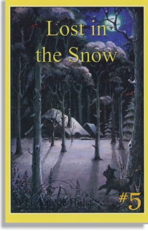 Lost in the Snow