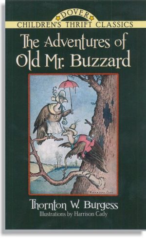 The Adventures of Old Mr. Buzzard