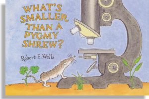 What's Smaller Than A Pygmy Shrew?