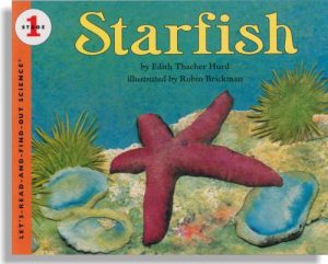 Starfish