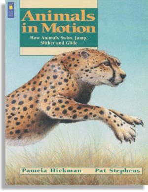 Animals In Motion