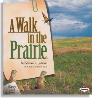 A Walk in the Prairie