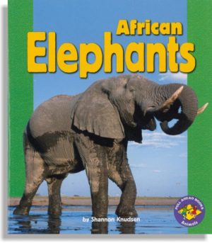 African Elephants