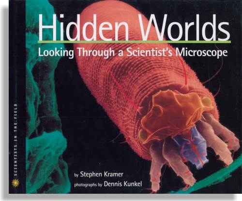 Hidden Worlds
