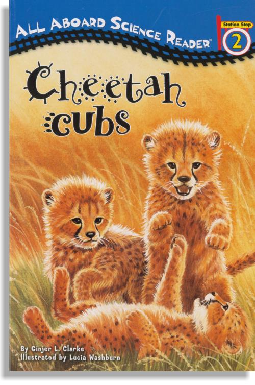 Cheetah Cubs