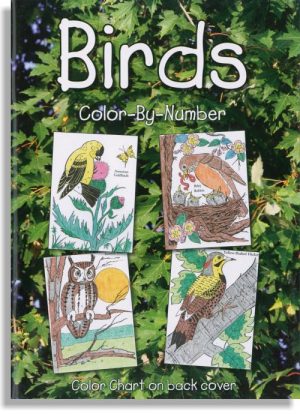 Birds Color-By-Number