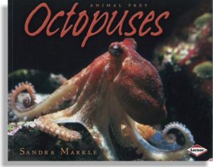 Animal Prey: Octopuses