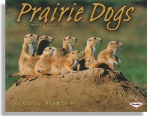 Animal Prey: Prairie Dogs