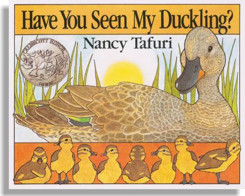 Have You Seen My Duckling?