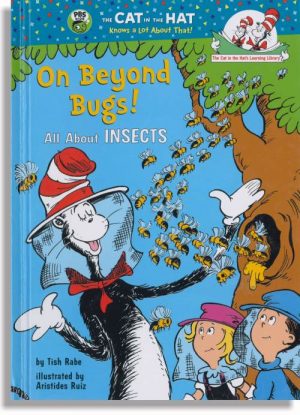 On Beyond Bugs