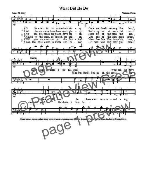 Song: What Did He Do