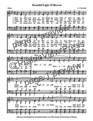 Song: Beautiful Light of Heaven
