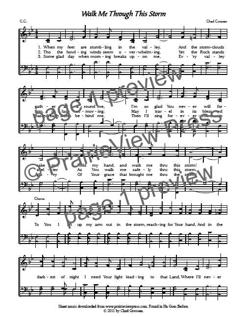 Song: Walk Me Through This Storm