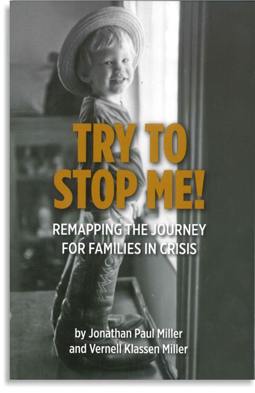 Try To Stop Me (Discount Slight Damage)