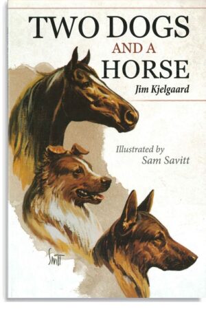 Two Dogs And Horse
