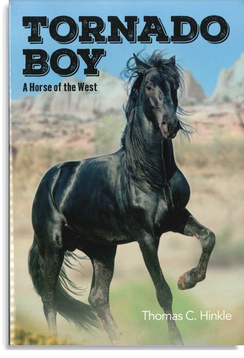 Tornado Boy