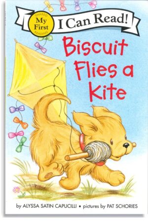 Biscuit Flies a Kite