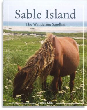 Sable Island: The Wandering Sandbar