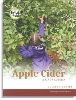 Apple Cider: A Sip of Autumn