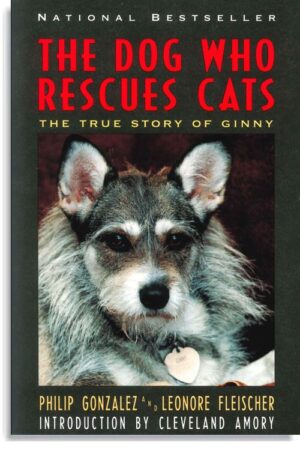 The Dog Who Rescues Cats